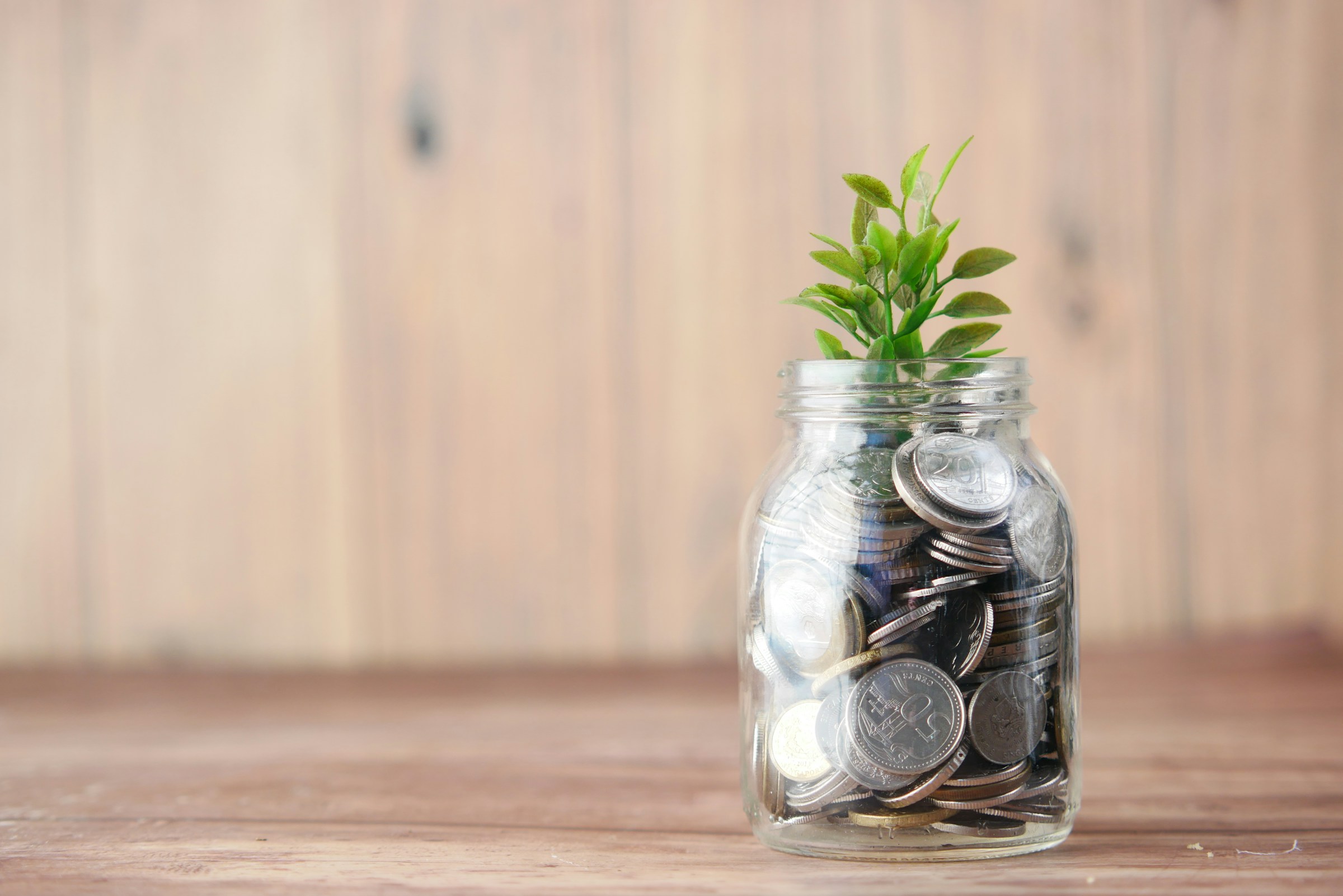 Fundraising Advisory